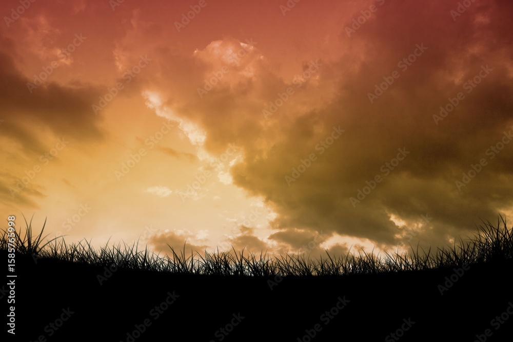 Obraz premium Flat design is showing silhouetted grass along horizon under layered clouds with sunset gradient
