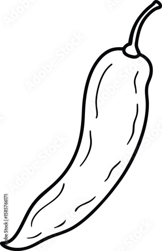 Dried chili pepper line art vector illustration