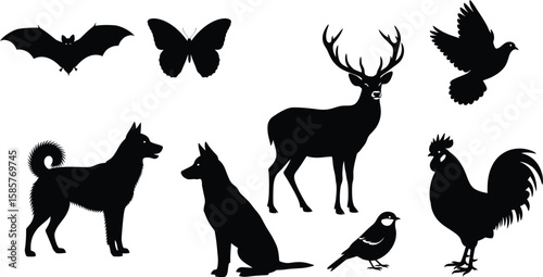 Silhouettes of diverse animals showcase wildlife including birds and mammals.