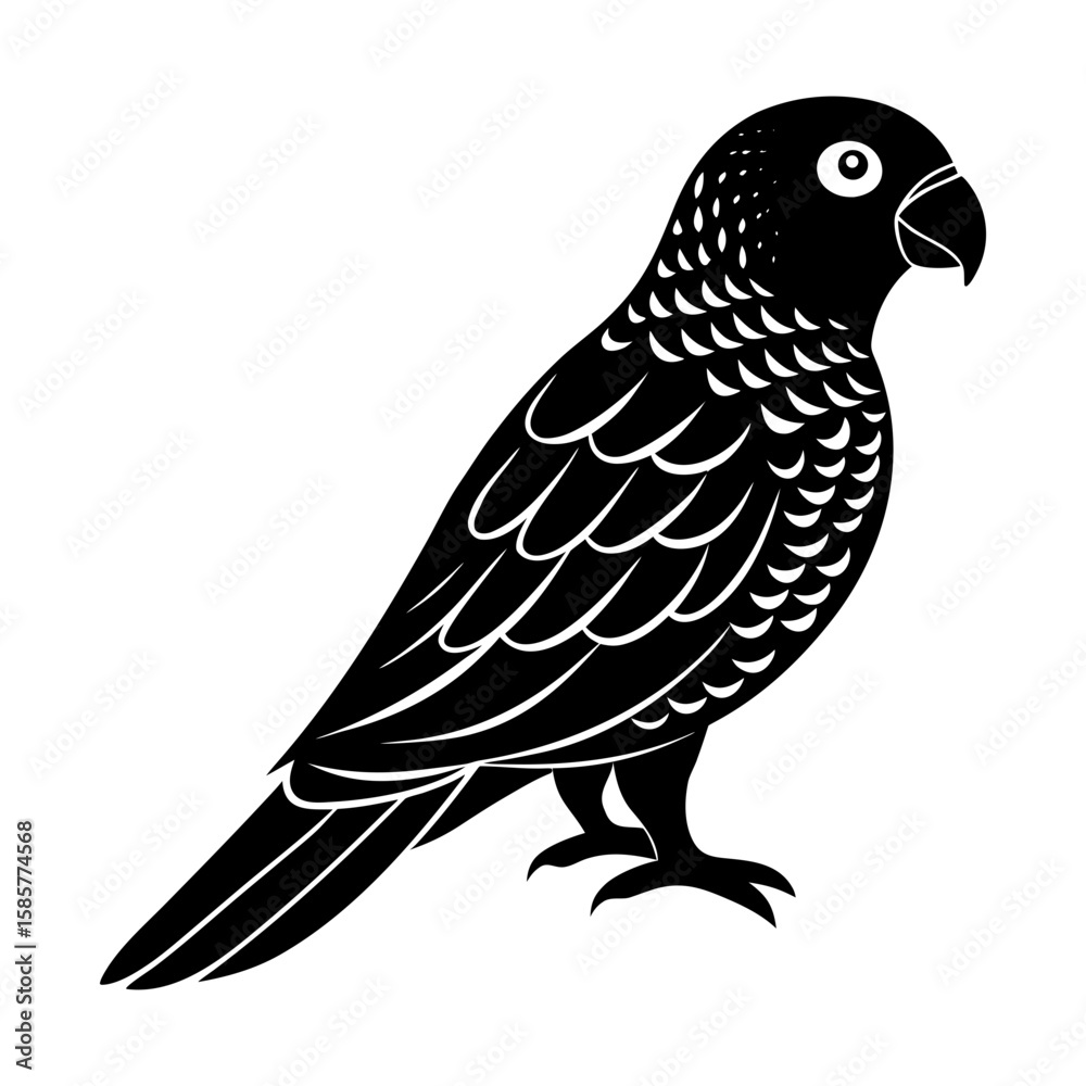 Fototapeta premium Illustration of a black lorikeet with detailed feather patterns design