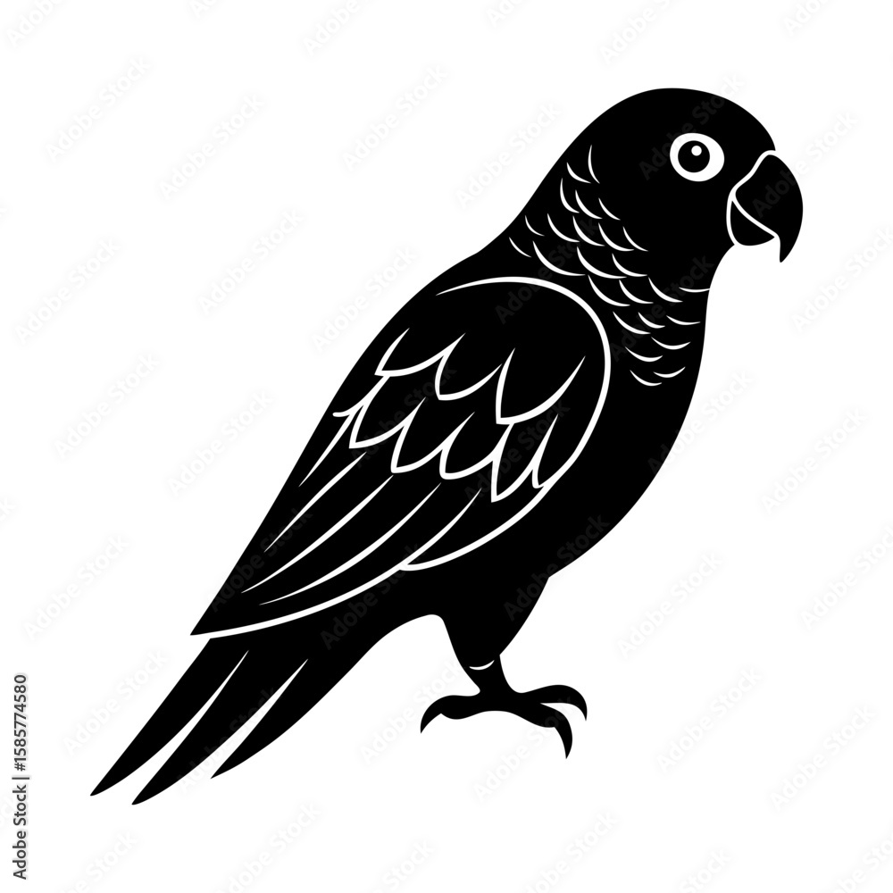 Fototapeta premium Illustration of a black parrot with detailed feathers in side profile