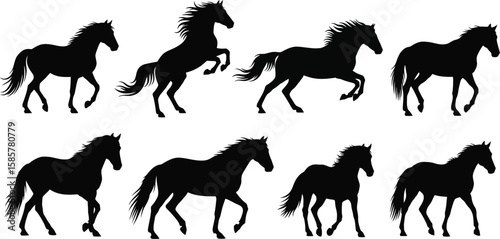 Black horse silhouettes are shown in various walking and rearing poses.