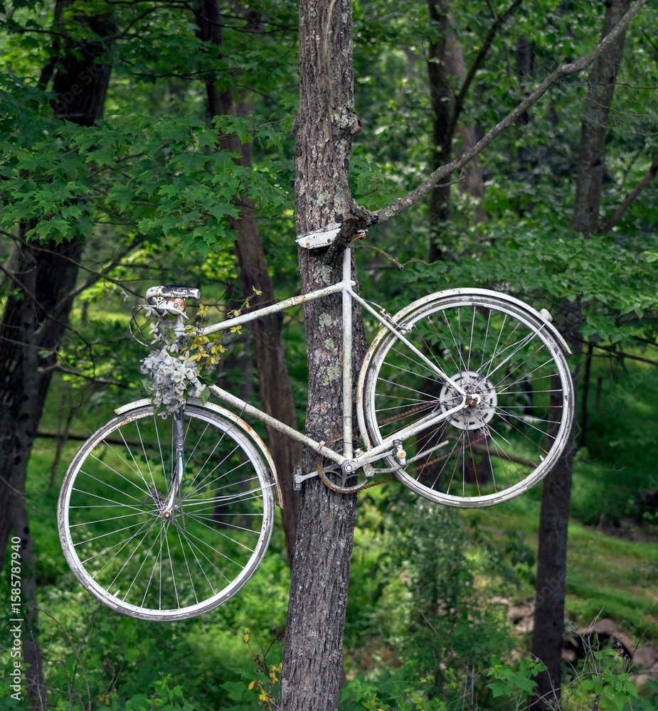 Fototapeta premium Nature Reclaims Bicycle in Forest