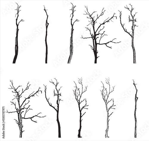Bare Tree Silhouettes Vector, Isolated on White Background.