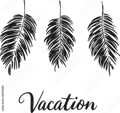 set of silhouette of tropical leaves and word vacation