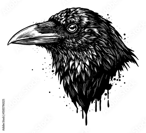 Raven Head Drip Splat Abstract Surreal Messy Paint Style Everywhere Black and White Outline Line Art Drawing