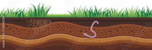 This educational earth layers illustration provides insights into soil composition, featuring vibrant colors and textures that highlight the importance of earth ecology and organic life.