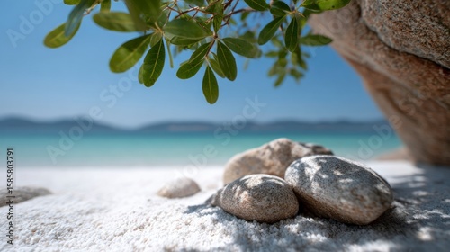 Smooth stones on white sand beach with green leaves and blue sea in background
