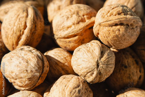 Walnuts in bright sunlight super close-up, walnuts in warm sunlight.