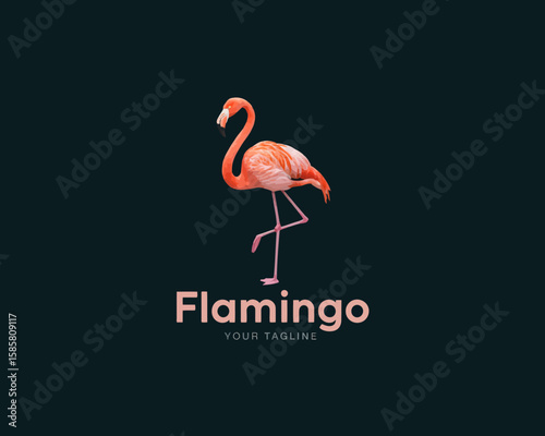 A striking flamingo logo design emphasizes elegance and flair, ideal for brands aiming to capture the essence of tropical environments and creative exploration.