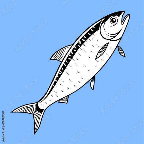 Detailed illustration of a herring fish with sleek fins and shiny scales, set against a blue background. Perfect for seafood themes and marine life designs.