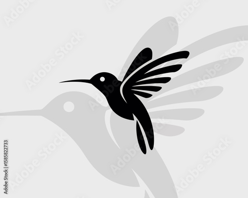 An elegant hummingbird graphic showcases beauty and grace, perfect for designs related to nature, conservation, or artistic expressions that resonate with flying creatures.