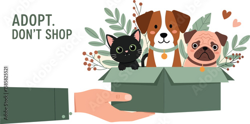 Adopt cute animals in a box, including a kitten, pug and friendly dog