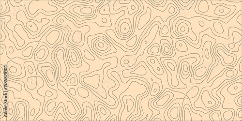 Flowing Lines Creating a Labyrinth of Thought and Space

