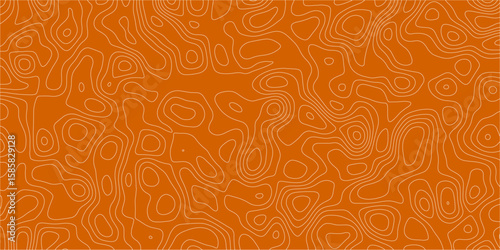 Flowing Lines Creating a Labyrinth of Thought and Space

