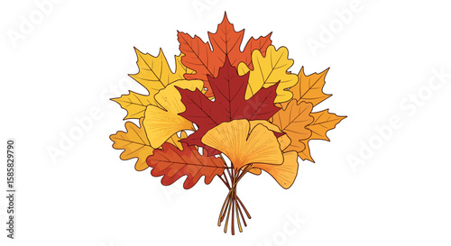 Autumnal Bouquet of Colorful Maple, Oak, and Ginkgo Leaves Illustration