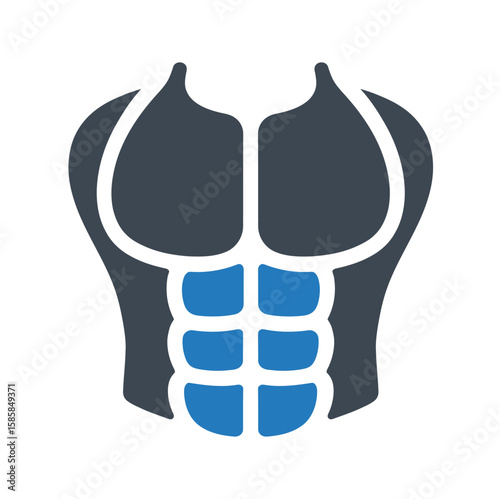 Muscular abdominal anatomy icon