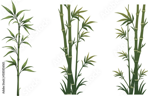 2D cartoon Bamboo stalks and leaves in stylized silhouette