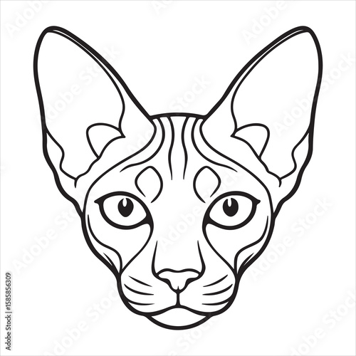 Hairless Wonder: Modern Charm of the Sphynx Cat