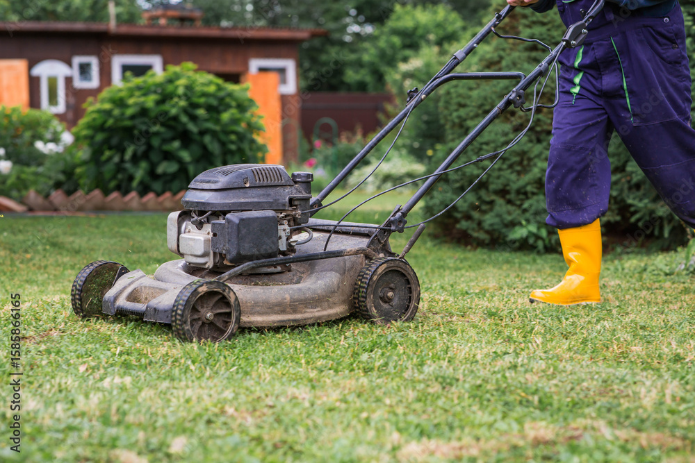 Fototapeta premium A lawn mower man mows the grass in the backyard. Agricultural machinery for garden maintenance. The concept of gardening and country life. The banner.