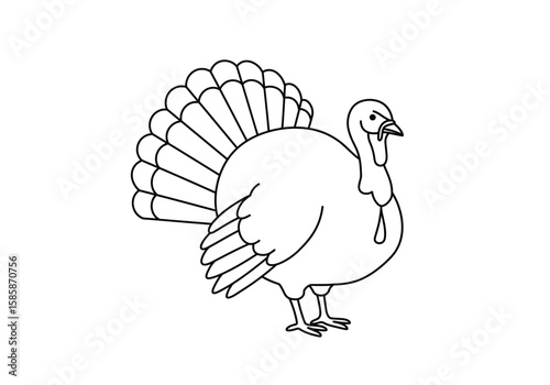 Christmas turkey drawing. Black and white outline of a full-bodied turkey with fanned tail feathers, ready for a festive holiday meal. Vector sketch line art draw.