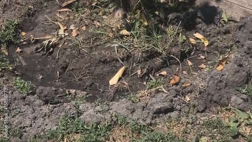 dry earth. Cracked black earth. Dry summer. Insufficient soil moisture. Lack of moisture in the soil. Dry cracked land ground, rotating, turning, top view