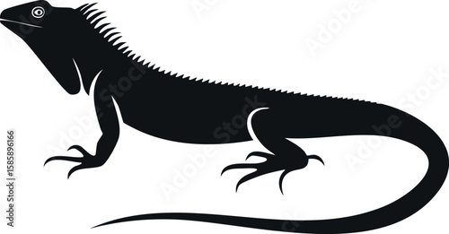 iguana silhouette illustration