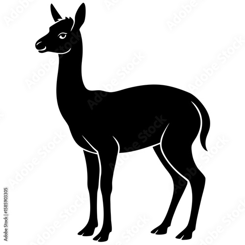 Vicuna vector silhouette black design white background