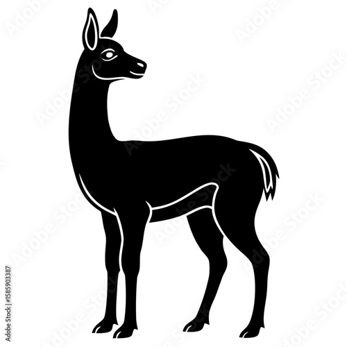 Vicuna vector silhouette black design white background