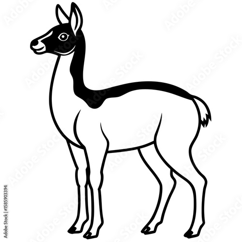 Vicuna vector silhouette black design white background