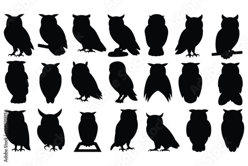 Owl silhouettes various poses bird nocturnal
