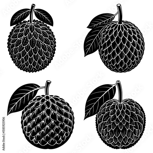 Illustration of four sugar apples with leaves in black and white vector format detailed artwork style