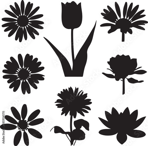 Black floral silhouettes flowers daisy