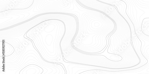 Topographic map and landscape terrain texture grid. White wave paper curved reliefs abstract background, Abstract topographic contours map background, Topography map background