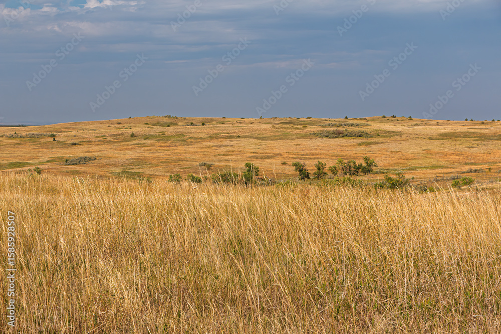 A beautiful prairie landscape with blue sky and clouds at Theodore Roosevelt National Park, North Unit, North Dakota, USA. A background image.
A beautiful prairie landscape with blue sky and clouds at Theodore Roosevelt National Park, North Unit, North Dakota, USA. A background image.