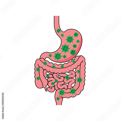 Understanding gut infections how pathogens affect your digestive system health