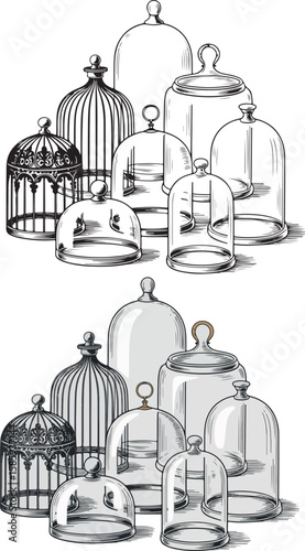 Vintage Botanical Illustration of Orchid Flowers in Glass Domes – Black and White Ink Drawing