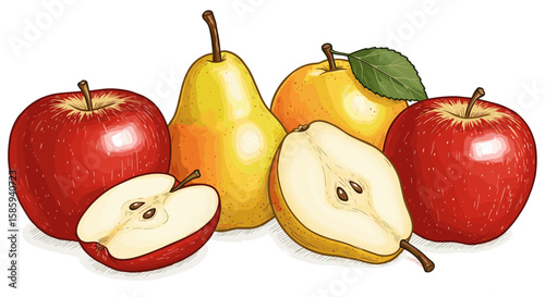 Fresh apples and pears hand drawn style with detailed leaves and seeds