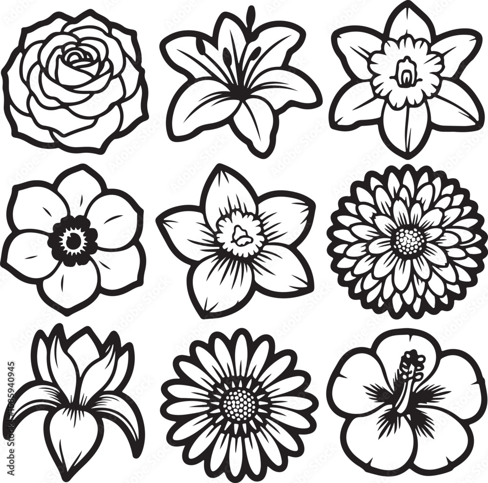 Fototapeta premium Stylized floral collection flowers rose
