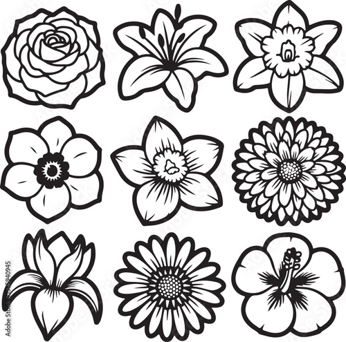 Stylized floral collection flowers rose