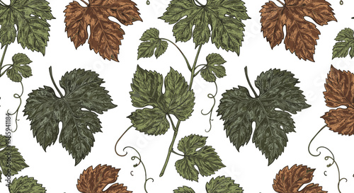 Vintage botanical pattern with autumn and green grape leaves on white background