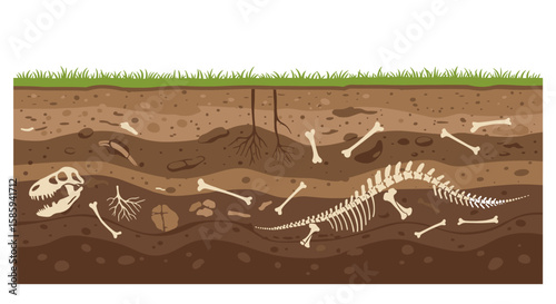 Dinosaur fossil in earth layers: paleontology cross-section with bones and roots