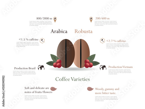 Comparing arabica and robusta coffee beans, caffeine content, growing altitudes, and flavor profiles