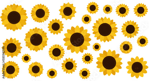 Bright sunflower pattern with multiple blossoms on white background