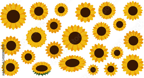 Collection of sunflower blooms in flat design on white background