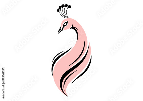 Stylized pink peacock illustration with flowing lines and a minimalist design