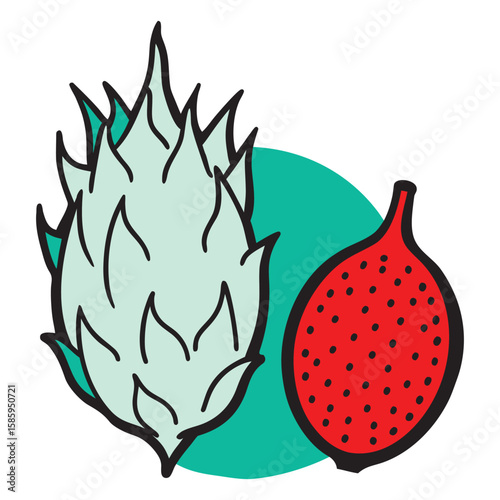 Vibrant whole dragon fruit illustration with tropical leaf and seeds