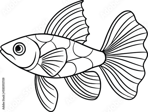 Outlined guppy fish illustration in simple style for kids coloring books and aquarium themes