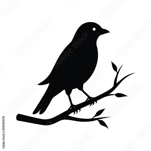 Perched bird silhouette sitting calmly on branch with detailed feathers on white background