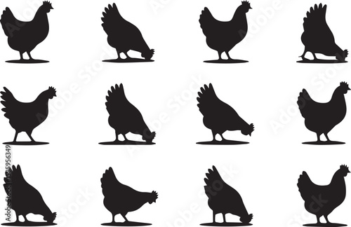 A Set of Hen Silhouette Vector Design on White Background 